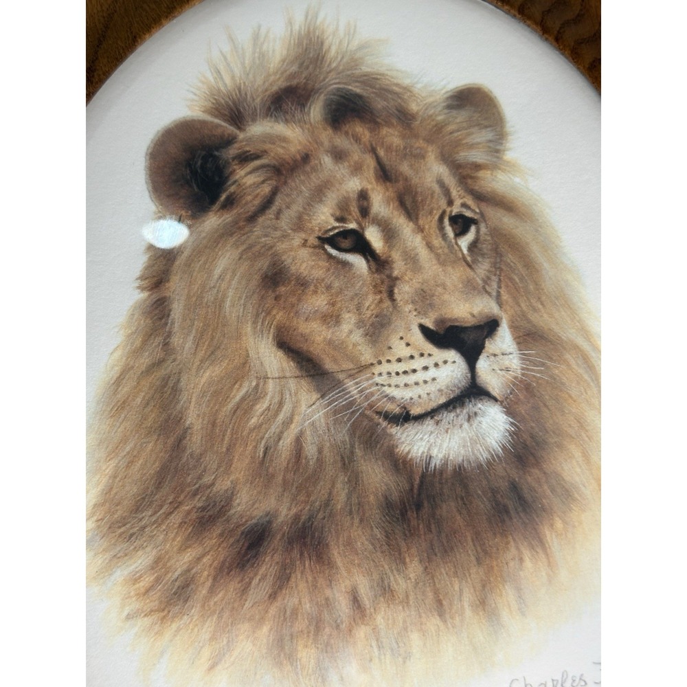 Vintage‎ Lion Print Convex Glass Oval Wood Frame Signed Print Charles Frace